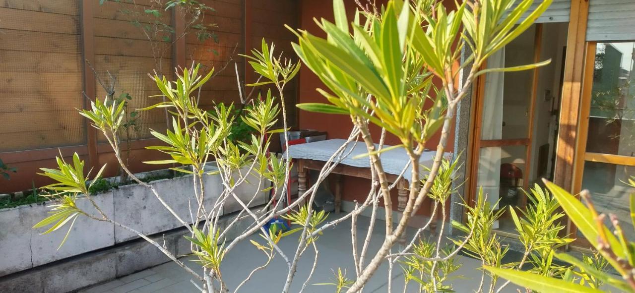 Meraviglioso Super Attico Con Terrazza Milano Eksteriør bilde